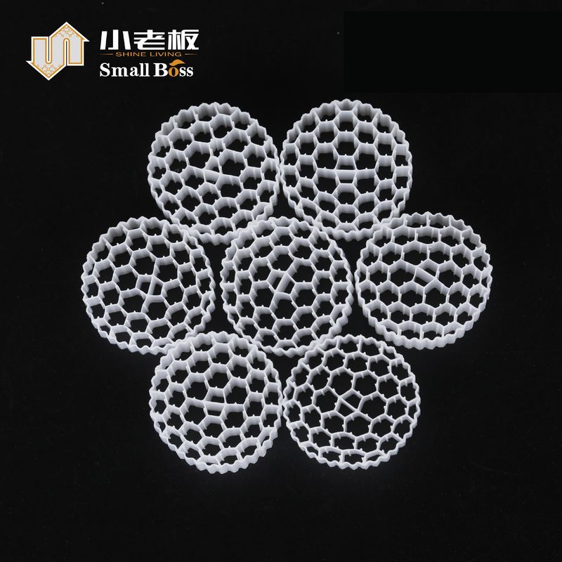 টেকসই ডেনাইট্রিফিকেশন এমবিবিআর বায়োচিপ পোর্টার