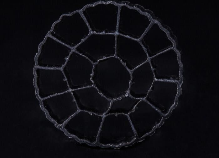 উচ্চ পৃষ্ঠতল এলাকা এমবিবিআর ফিল্টার মিডিয়া অ্যাকোয়ারিয়াম চলন্ত বিছানা ফিল্টার কম শক্তি খরচ