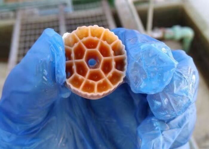 কালো ভার্জিন এইচডিপিই উপাদান এমবিবিআর প্লাস্টিক ফিল্টার মিডিয়া অ্যাকোয়ারিয়ামের জন্য 25mm X 12mm