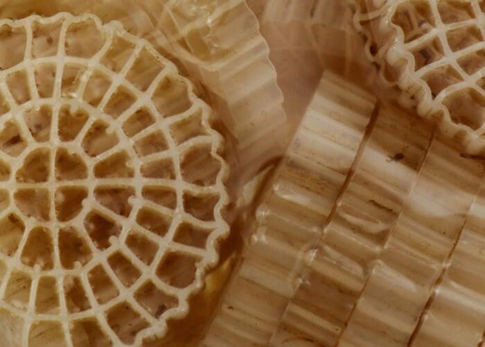 পলিথিলিন BIO বল ফিল্টার মিডিয়া এফডিএ নিরাপদ অ বিষাক্ত কে 1 মাইক্রো এমবিবিআর মিডিয়া